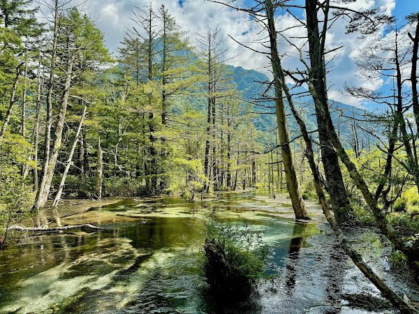 Dakesawa Marsh 1