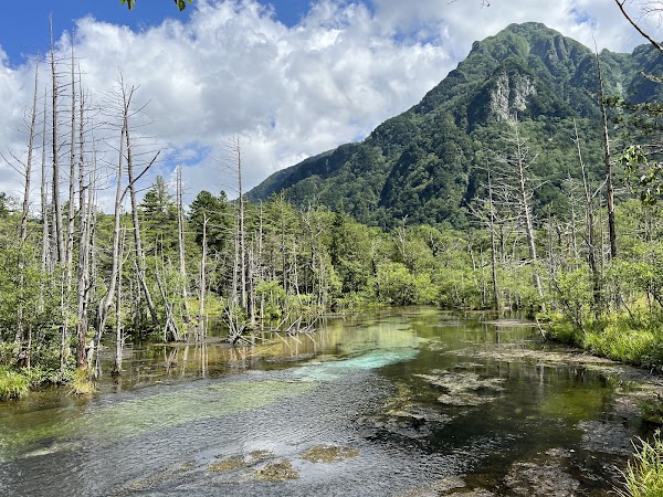 Dakesawa Marsh 5
