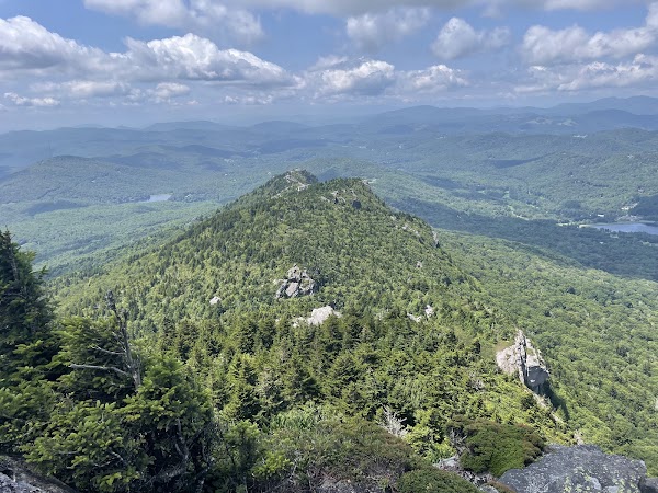 North Carolina 7