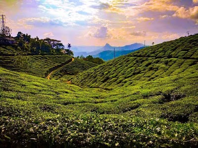 Munnar