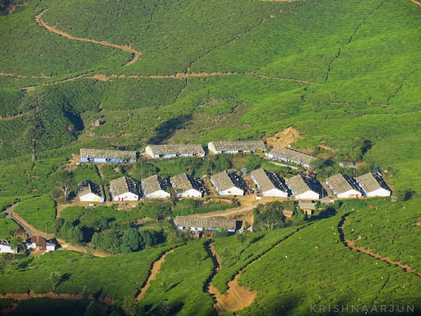 Munnar 3