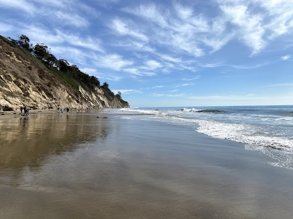 USA West Coast 2026 75