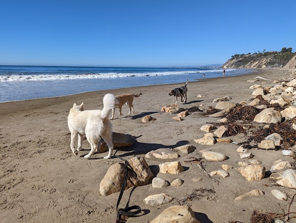 Arroyo Burro Beach County Park 4