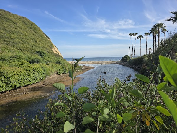 Arroyo Burro Beach County Park 2