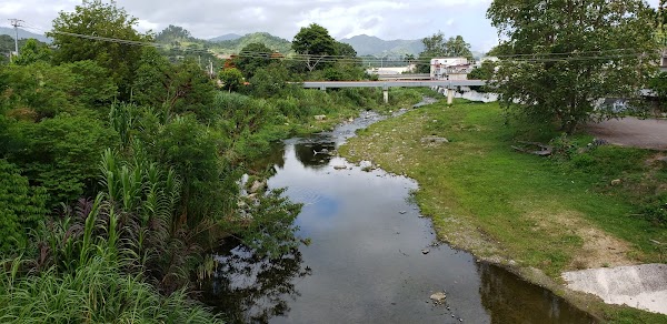 Jayuya
