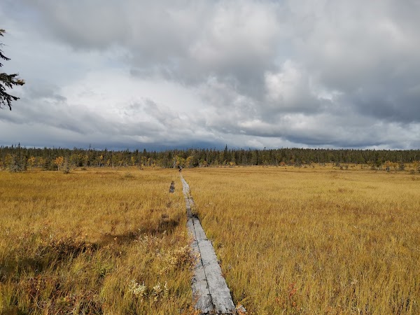 Urho Kekkonen National Park 1