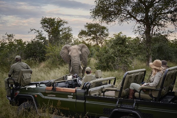 Masiya's Camp at Royal Malewane 5