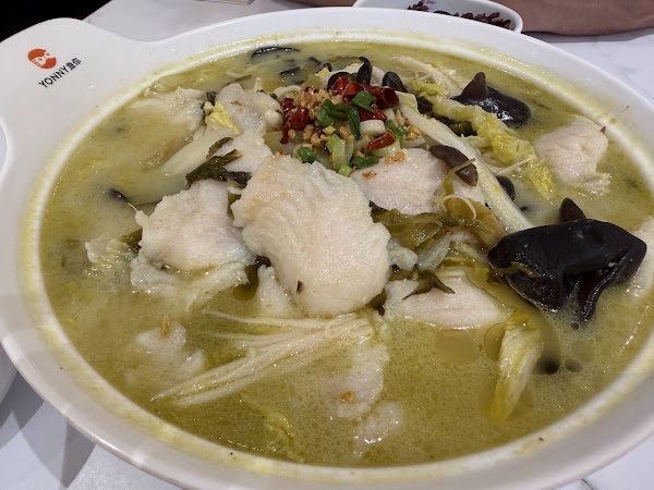 YONNY 鱼你-Delicious Fish Pot 4