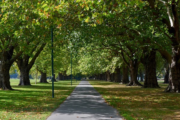 Hagley Park North
