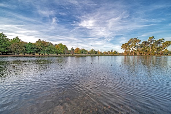 Hagley Park North 5