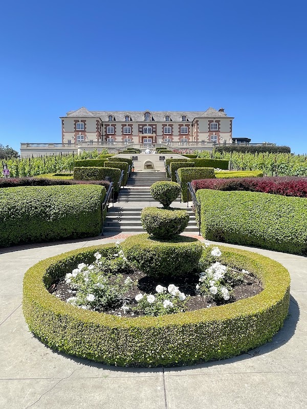 Domaine Carneros 5