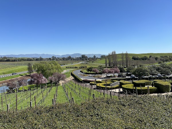 Domaine Carneros 3
