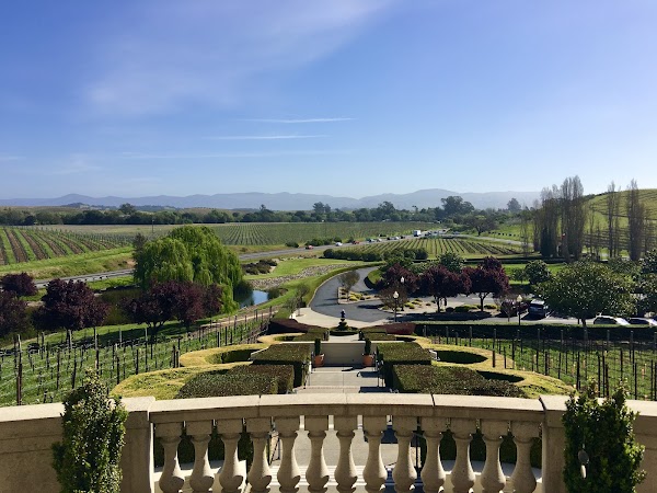 Domaine Carneros 2