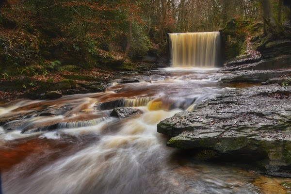 Plas Power Woods