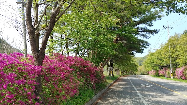 보령댐 물빛공원