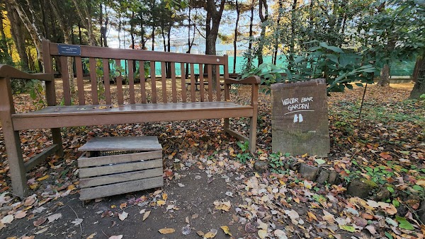 Winter Bear bench