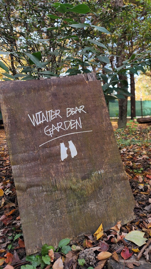Winter Bear bench 4