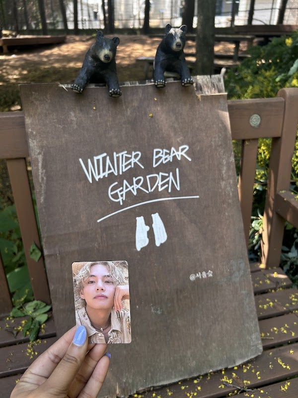 Winter Bear bench 2