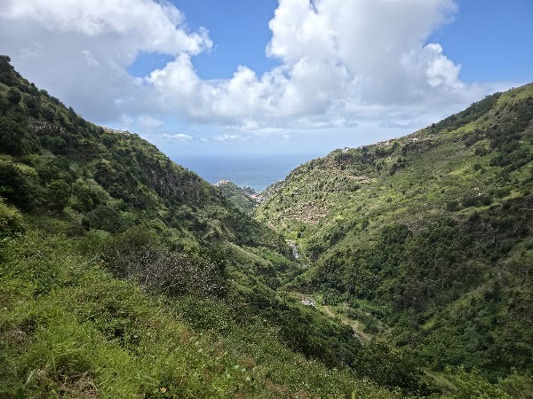 Levada do Moinho 5