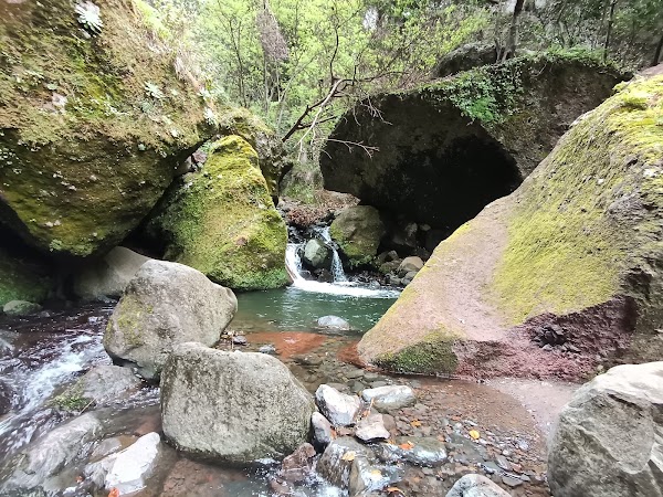 Levada do Moinho 4
