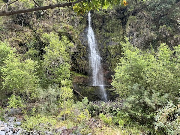 Levada do Moinho 3