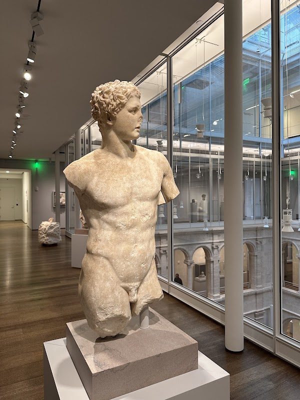 Harvard Art Museums 6