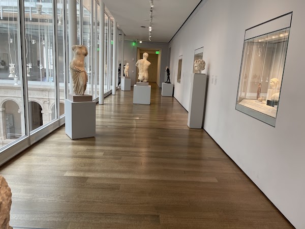 Harvard Art Museums 4