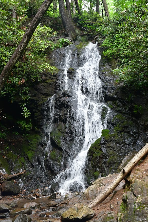 US National Parks 14