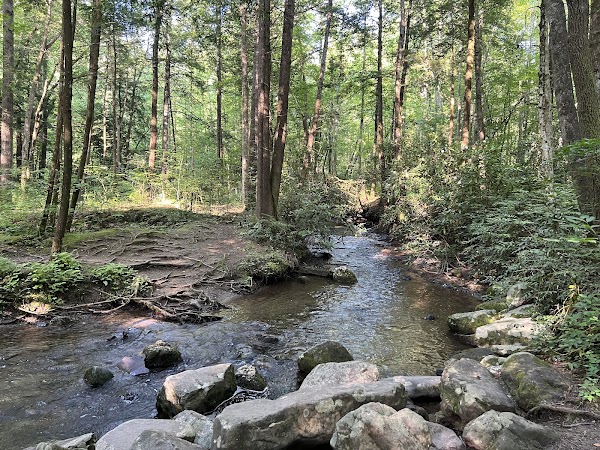 Cataract Falls 5
