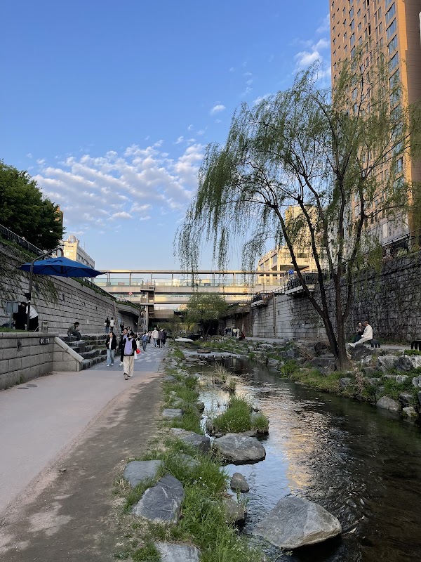 Cheonggyecheon stream 5