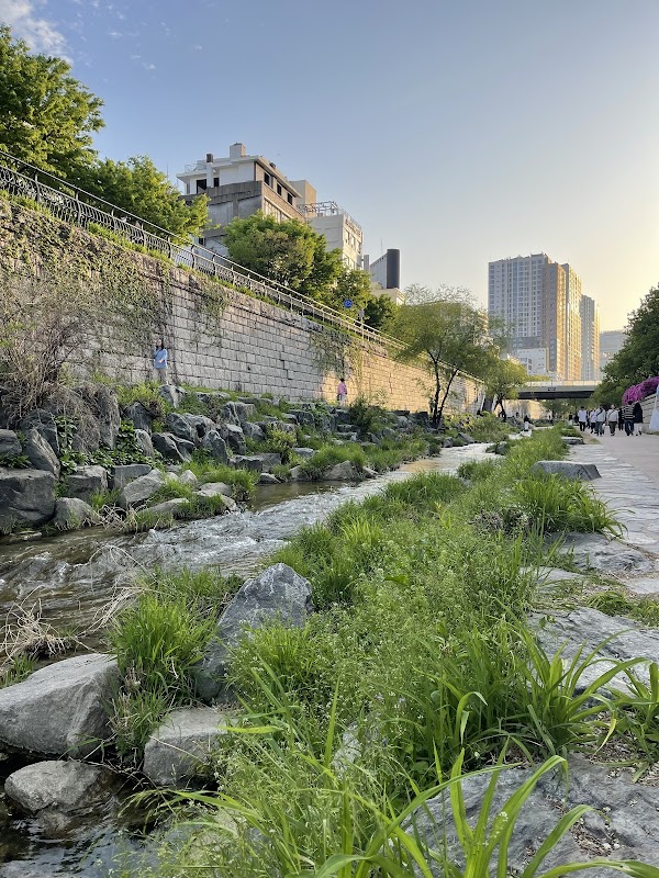 Cheonggyecheon stream 4