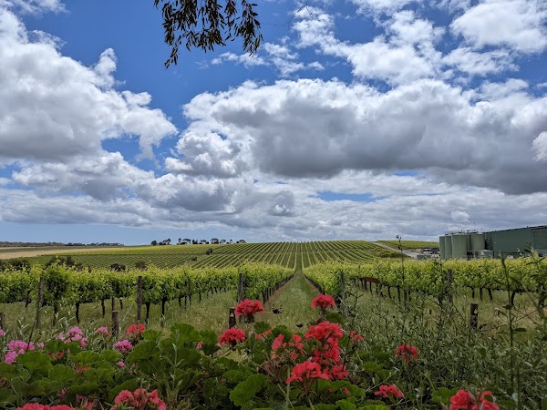 McLaren Vale