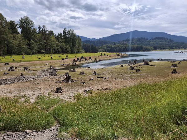 Alder Lake Park