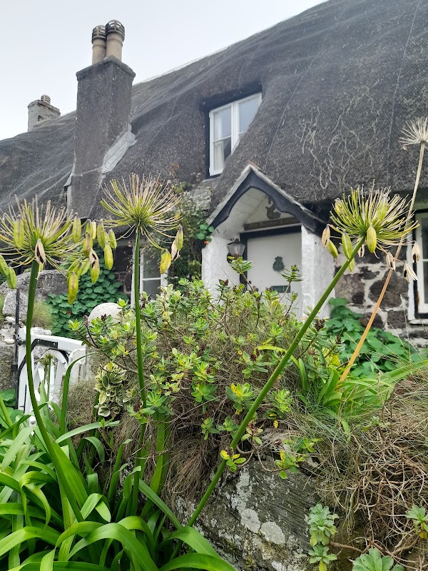 Cadgwith 3