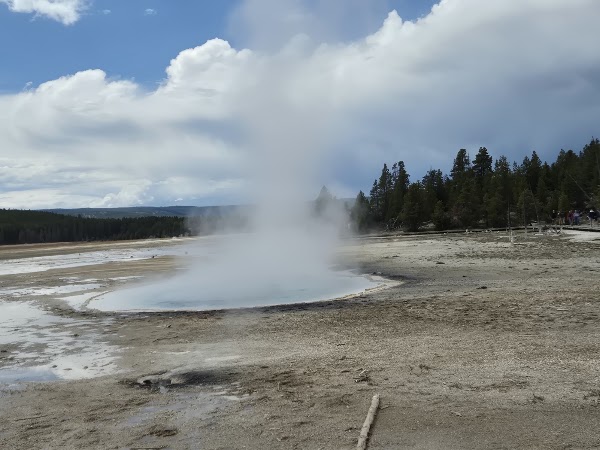 Yellowstone Lower Geyser Basin