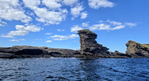 Bird Island Boat Tours 4