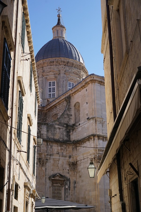 The Cathedral of the Assumption of the Virgin Mary 5