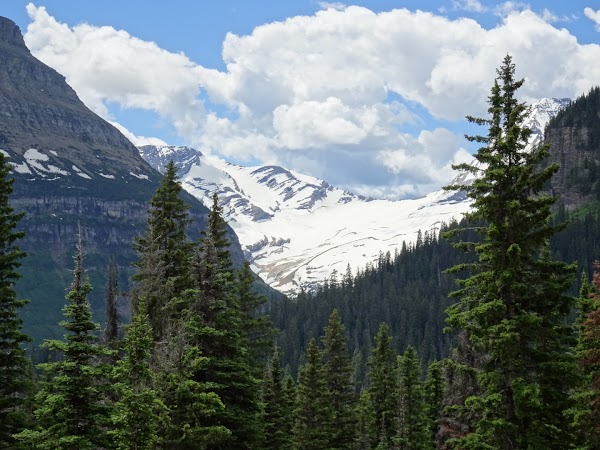 Jackson Glacier Overlook 1