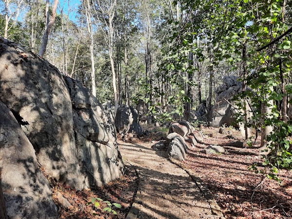 Doi Pha Klong National Park 5
