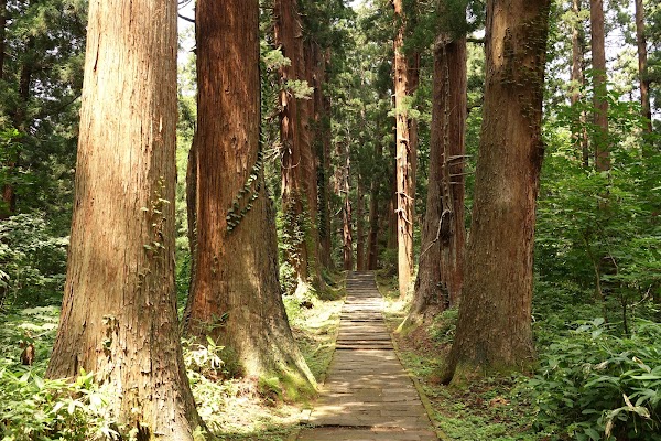 Mt. Haguro 3