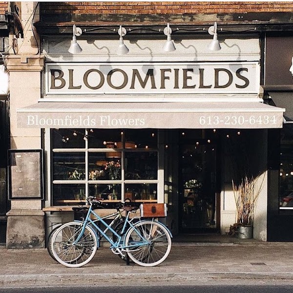 Bloomfields Flowers Glebe 1