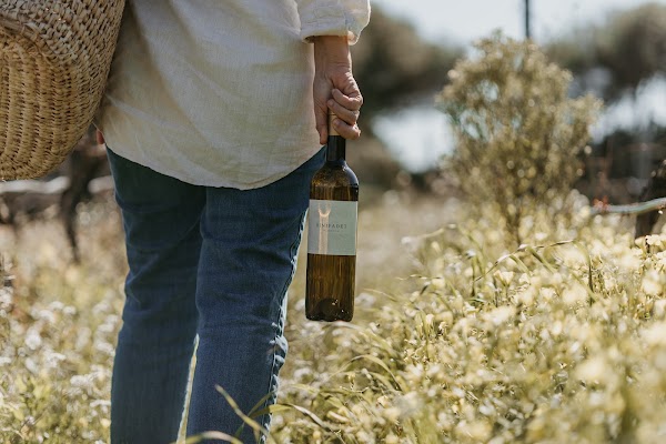 Bodegas Binifadet