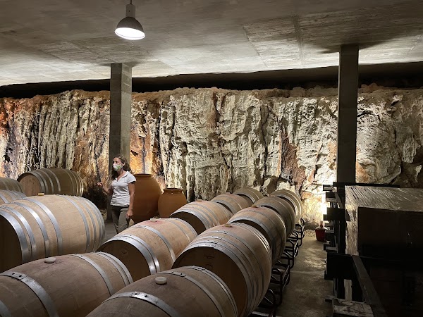 Bodegas Binifadet 5