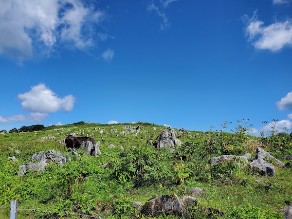 Tengu Highlands 2