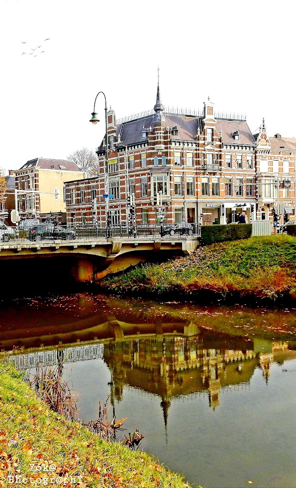Breda 4