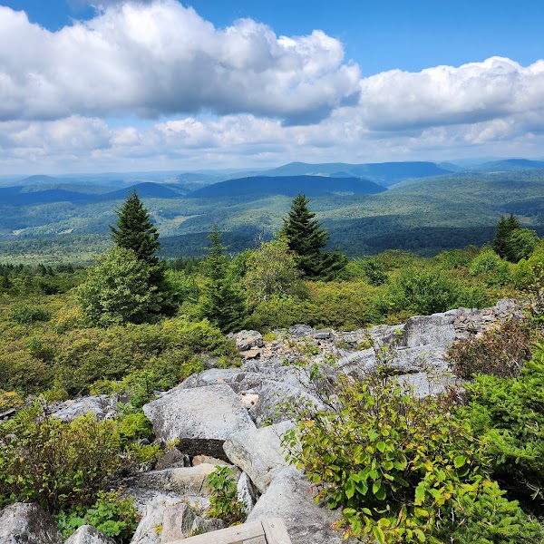 Monongahela National Forest