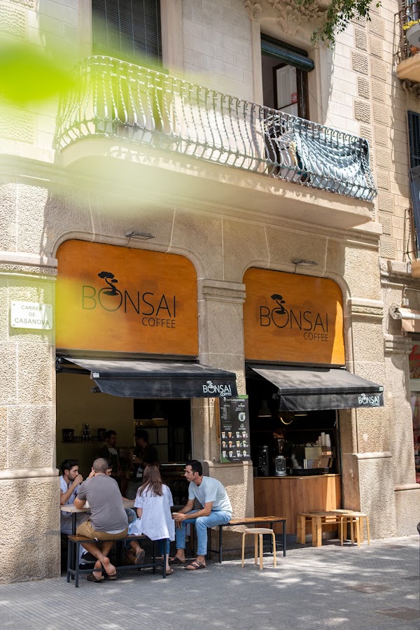 Bonsai Matxa i Cafè