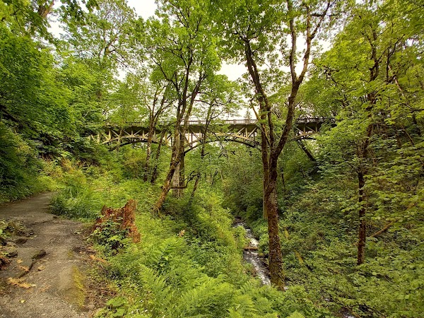 Latourell Falls 3