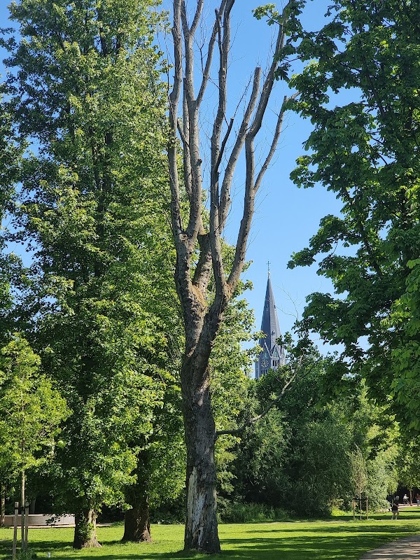 Vondelpark 3