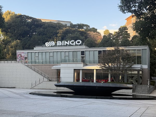 BINGO SPORTS